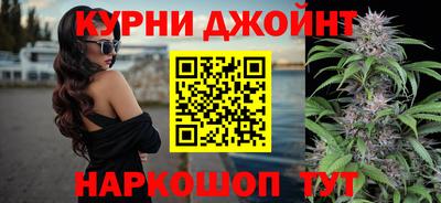 Альфа ПВП Дубна