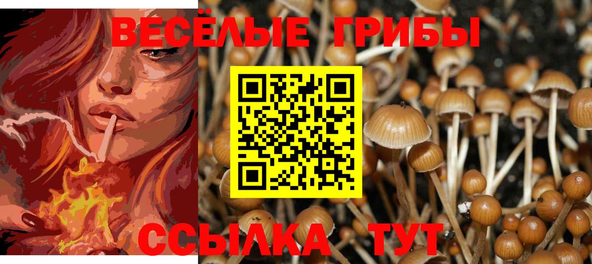 Галлюциногенные грибы GOLDEN TEACHER Кумертау
